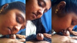 Xxx hindi porn Tamil wife loving her husband’s dick with her lips